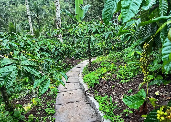 Di Kebun *