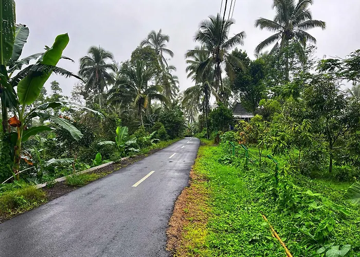 Di Kebun