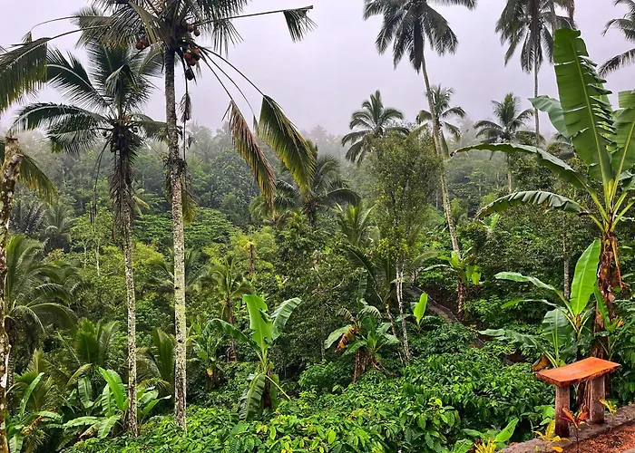Lodge Di Kebun