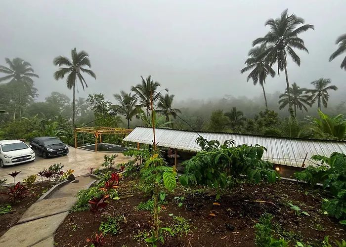 Di Kebun * Blimbing (Bali)