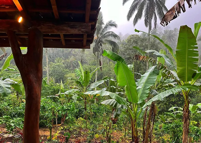 Di Kebun