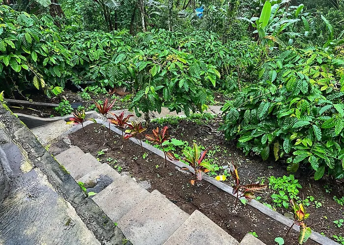 Lodge Di Kebun