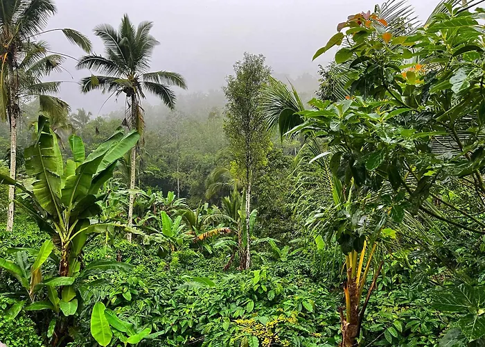 Lodge Di Kebun Blimbing (Bali)