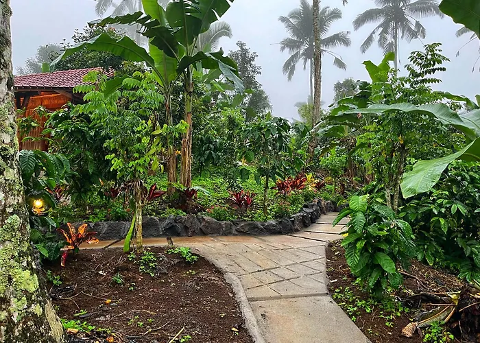 Di Kebun *