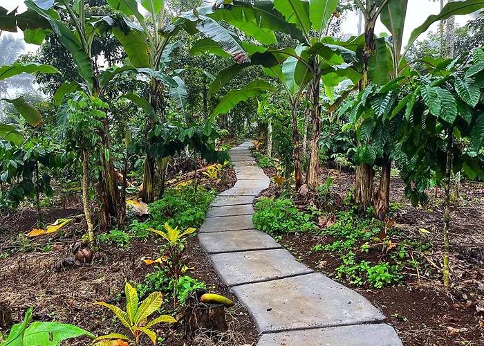 Di Kebun Lodge