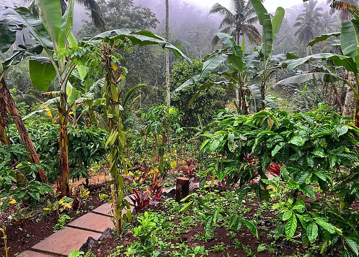 Lodge Di Kebun
