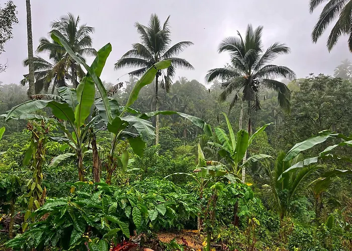 Di Kebun Lodge Blimbing (Bali)