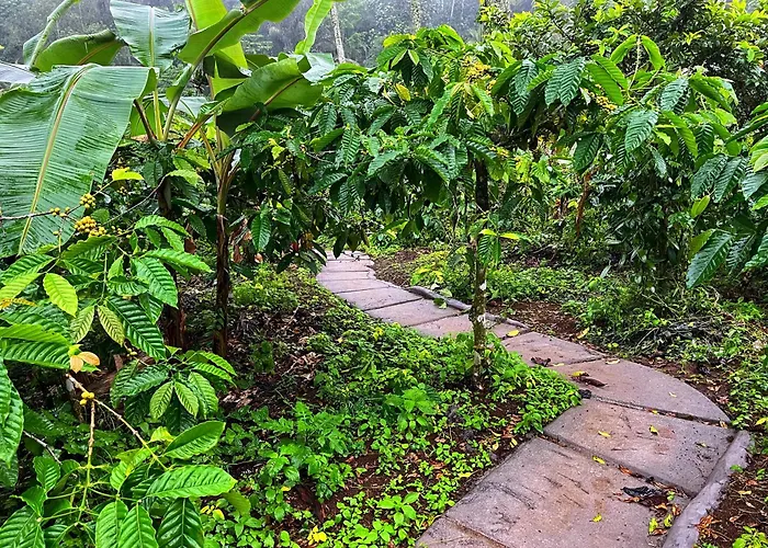 Lodge Di Kebun Blimbing (Bali)
