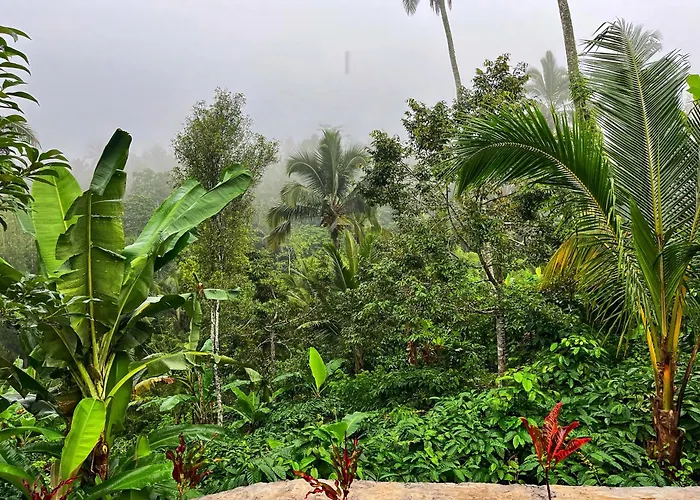 Di Kebun Blimbing (Bali)