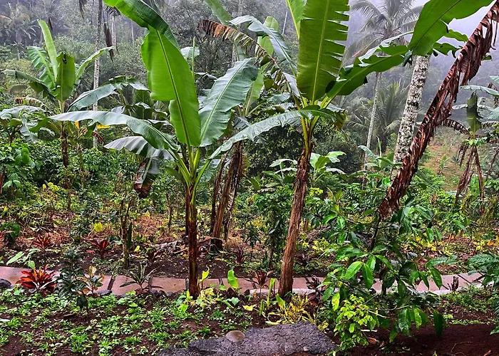 Di Kebun Lodge *